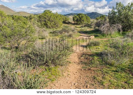 Path leads through the nature wilderness of Vasquez Rocks State Park in southern California.