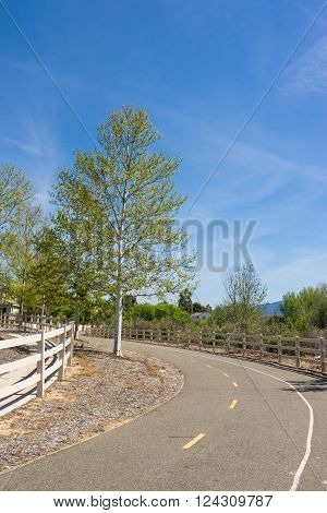Curve leading through the suburb paseos of Los Angeles California.