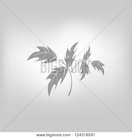 vector icon flower symbol isolated illustration graphik
