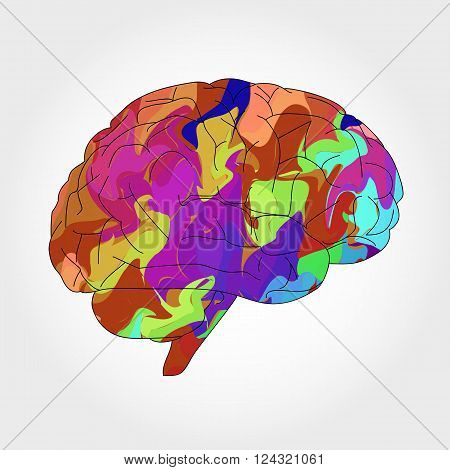 abstract multicolored human brain, psychedelic brain illustration