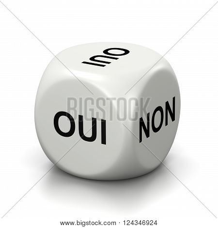 One Single White Dice with Yes or No French Text on Faces on White Background 3D Illustration