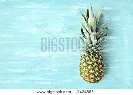 Pineapple on a blue pastel background, summer background
** Note: Soft Focus at 100%, best at smaller sizes