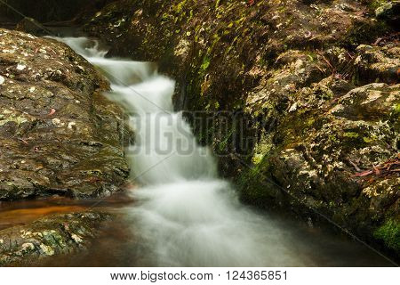 Goomoolahra creek at Springbrook National Park in Queensland.