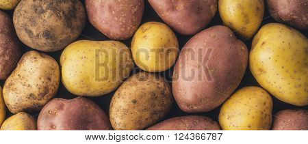 Raw potatoes background wide screen letterbox format