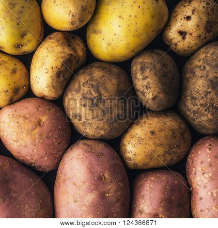 Rawred yellow red potatoes background square background