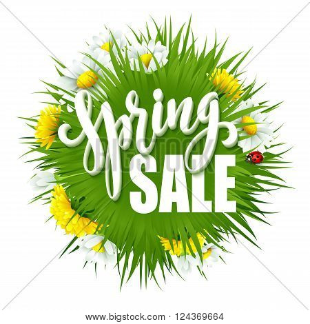 Fresh spring background with grass, dandelions and daisies. Vector illustration EPS10