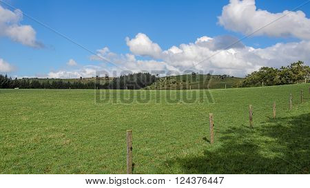 Fenced in Paddock against a blue sky with woolly clouds in a blue sky