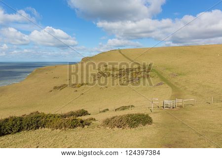 South west coast path north of Sandymouth beach Cornwall England UK