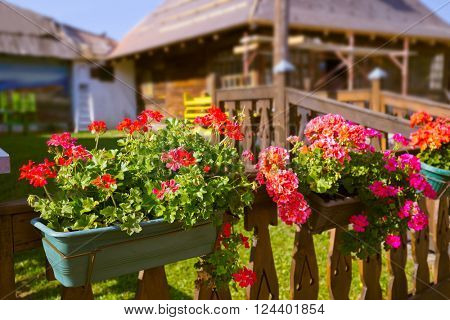 Traditional village Drvengrad Mecavnik in Serbia - architecture travel background