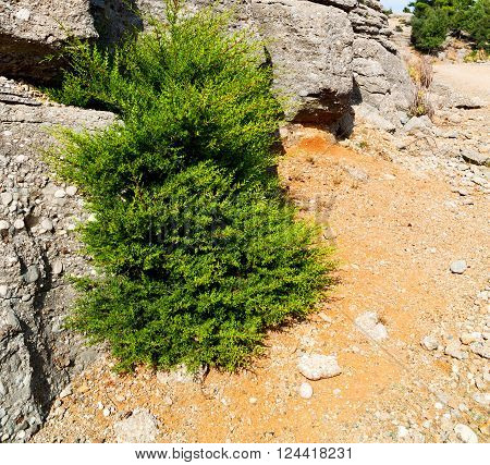 From The Hill In Asia Turkey Selge Old Architecture Ruins And Nature
