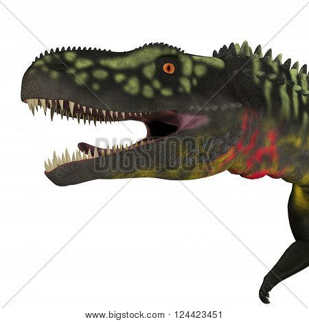 Arizonasaurus Dinosaur Head 3D illustration - Arizonasaurus was a sailback carnivorous archosaur that lived in Arizona North America in the Triassic Period.