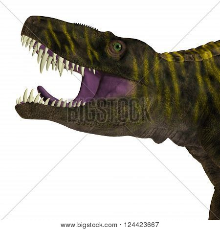 Batrachotomus Dinosaur Head 3D illustration - Batrachotomus was a carnivorous archosaur predator that lived in Germany during the Triassic Period.