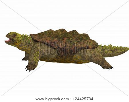 Proganochelys Side Profile 3D illustration - Proganochelys is the second oldest turtle species discovered and lived in Germany and Thailand in the Triassic Period.