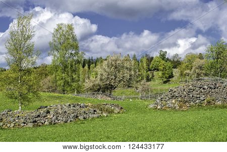 Spring in Sweden - Swedish countryside in the county of Smaland during spring