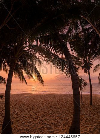 Tropical beach at sunset - nature background