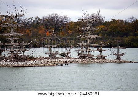 The Lake Renwick Heron Rookery Nature Preserve, in Plainfield, Illinois, provides nesting platforms for herons, cormorants and egrets, on an island in Lake Renwick