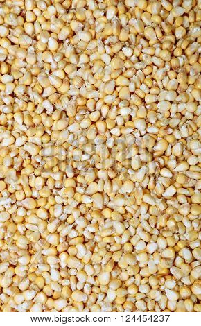 Placer of yellow corn isolated on white background