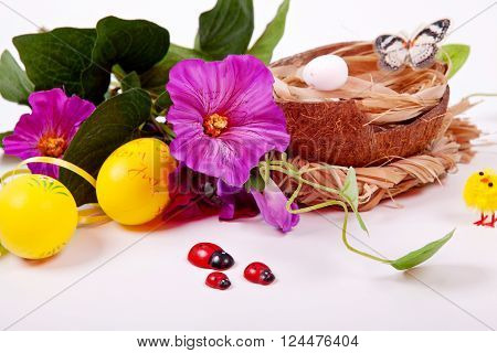 Easter eggs and a bird's nest with yellow chicks on a white background. Celebration. Spring. Easter.