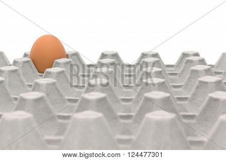 Chicken Egg Trays with isolated on white background.