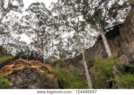 MARGARET RIVER,WA,AUSTRALIA-JANUARY 17,2016: Tourists on the viewing platform overlooking the sunken Karri tree forest with eroded limestone formations at the Lake Cave tourist attraction in Margaret River, Western Australia.