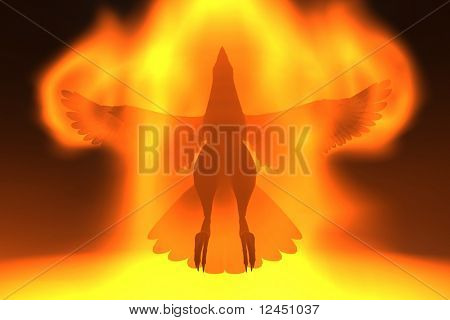 Phoenix rising