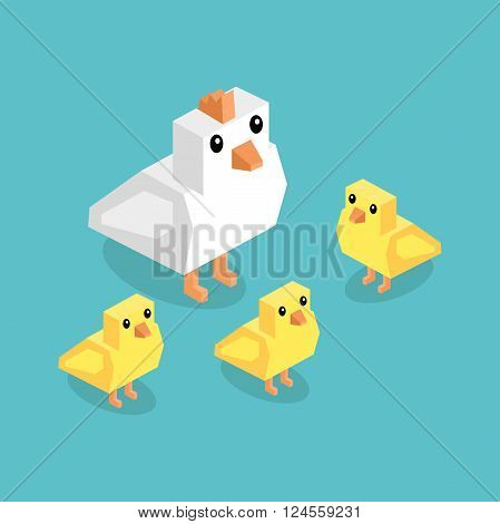 Isometric white chicken with yellow chick. Isometric white 3d chicken with yellow chickens isolated on background, cute a little young farm bird fluffy, adorable small bird poultry vector illustration