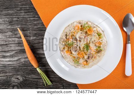 Delicious creamy cheese mushroom soup with spring carrots and spices decorated with dill in a white wide rim dish on a cutting board on an old rustic table horizontal close-up