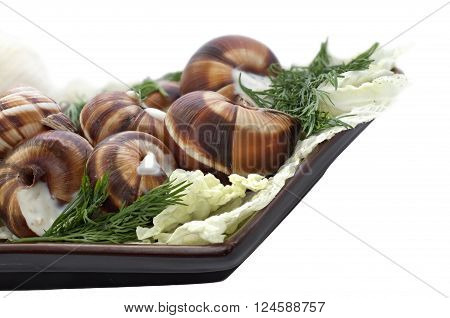 Boiled big grape snails in garlick sauce