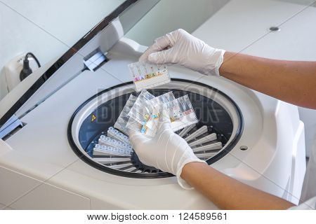 placing the samples in a centrifuge for controlling the quality of harvested blood