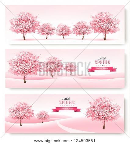Three spring banners with pink cherry blossom trees. Vector.