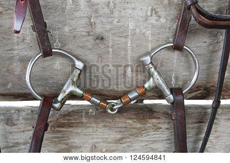 Closeup of horse D-ring snaffle bit with bridle straps