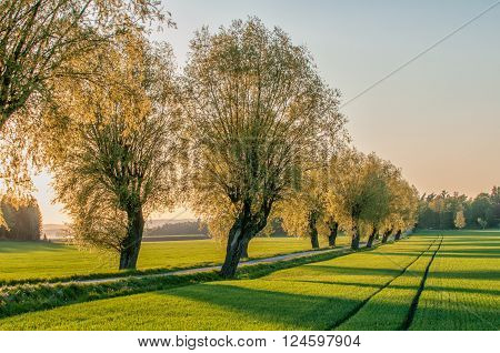 Sunset during springtime in the countryside of Vikbolandet, Sweden