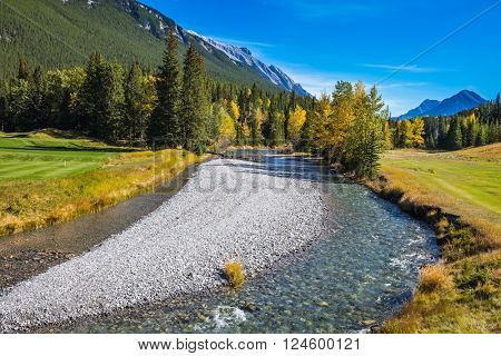 Delightful stunning park Banff in the Rocky Mountains of Canada. The shallow stream among green and yellow grass lawns