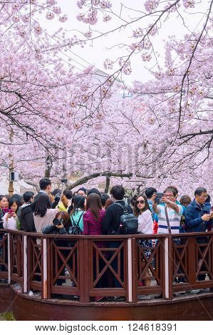 JINHAEKOREA - APRIL 4 : Jinhae Gunhangje Festival is the largest cherry blossom festival in Korea.Tourists taking photos of the beautiful scenery around JinhaeKorea on April 4, 2015.
** Note: Soft Focus at 100%, best at smaller sizes