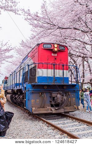 JINHAEKOREA - APRIL 4 : Jinhae Gunhangje Festival is the largest cherry blossom festival in Korea.Tourists taking photos of the beautiful scenery around JinhaeKorea on April 4, 2015.
** Note: Soft Focus at 100%, best at smaller sizes