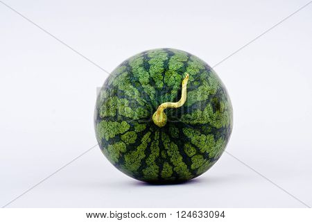 Watermelon rind on the outside is green and beautiful striped