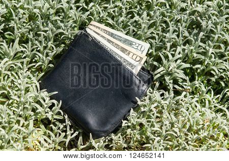 purse on the ground with money. Lost wallet