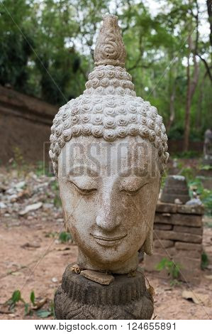 buddha statue in wat umong chiang mai travel thai temple in northern thailand thailand
