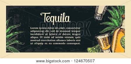 Mexican traditional food restaurant menu template with tequila lime botlle glass cactus salt. Vector vintage engraved illustration on dark background. For poster web