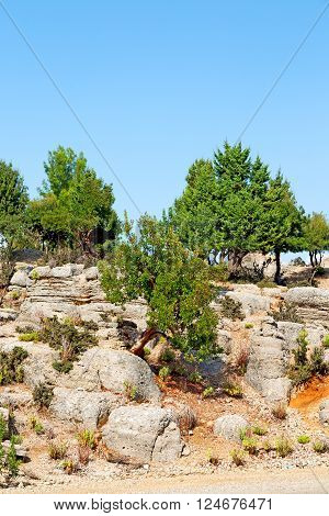 Ruins     From The Hill In Asia    Nature