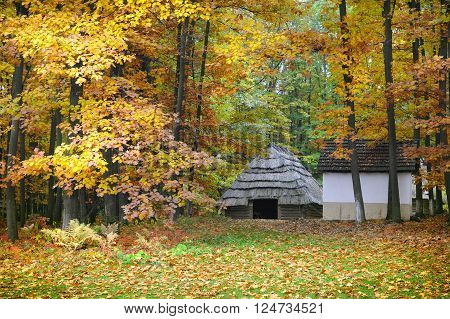 Old Hut With A Straw Roof In Autumn Forest. Ukrainian Museum Of Life And Architecture