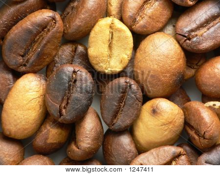 grãos de café torrados. close-up. 