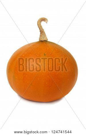 Small ornamental pumpkin isolated on white background