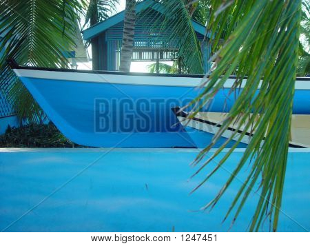 Barche blu