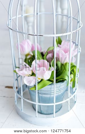 Tulips in an iron bucket. light background candles and flowers
** Note: Visible grain at 100%, best at smaller sizes