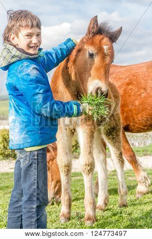 outdoor portrait of young european boy feeding horse on farm