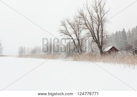 Blizzard winter landscape at frozen lake in Finland