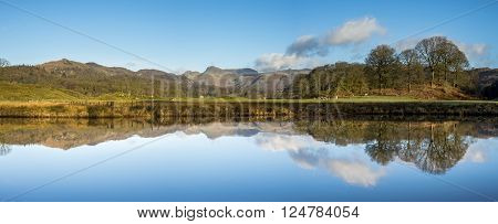 Brathy Reflections