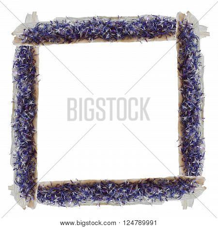 dried fall leaves of plants small blue flowers and leaves isolated elements on white background for scrapbook object roughage autumn leaf.
