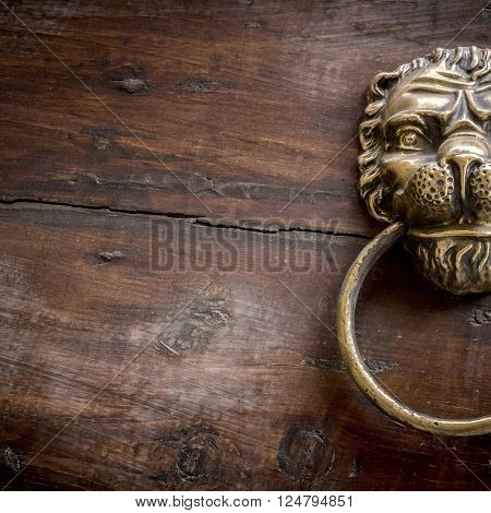 Door knocker with lion on wooden door.
